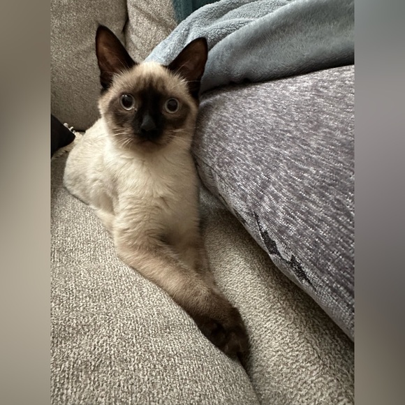 Meet your Posher, Kelly - Picture 7 of 7